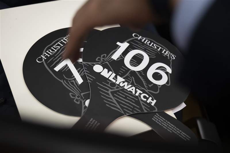 只有帶有 Watch 品牌標志的槳葉位于其兩側。